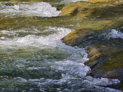 Cannon River Fish Passage Project public information meeting scheduled ...
