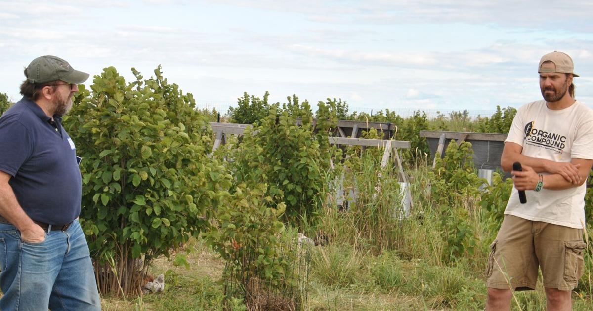 Local farmer encourages innovative sustainability practices | News - Southernminn.com