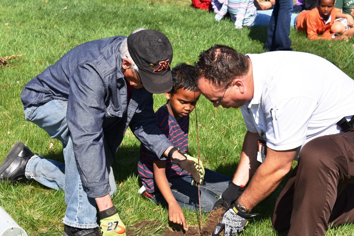 Boy plants tree