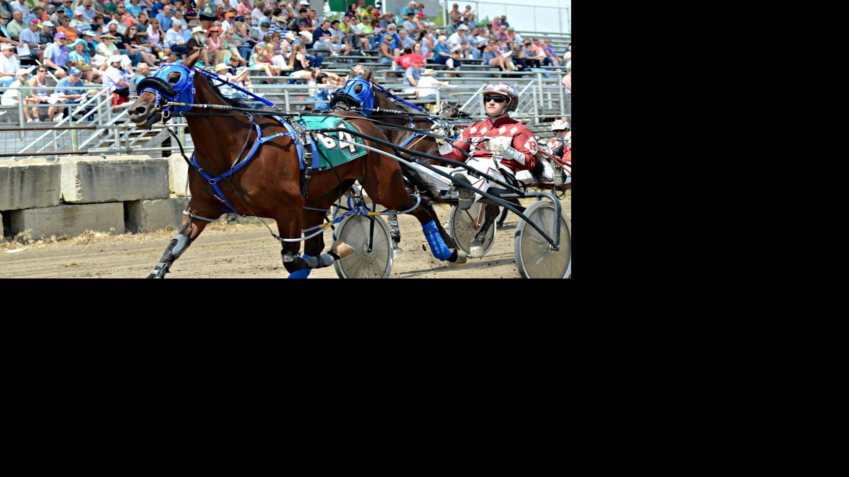 Harness Racing Tradition Continues At Nicollet County Fair Sports Southernminn Com