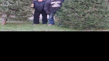 Brewery Hill Christmas Trees Of Le Sueur Sends Two Trees To Be On Display In Washington D C This Holiday Season News Southernminn Com