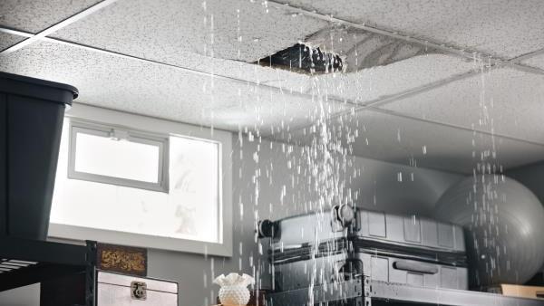 Is Your Home Wasting Water? Stop Your Leaks Before They Cost You