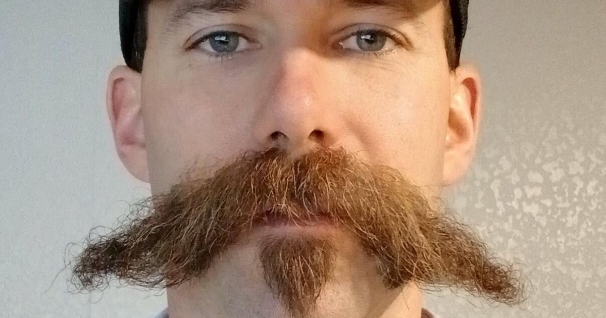 EXTENSION: Understanding seed oils: benefits, risks and common misconceptions EXTENSION: Understanding seed oils: benefits, risks and common misconceptions