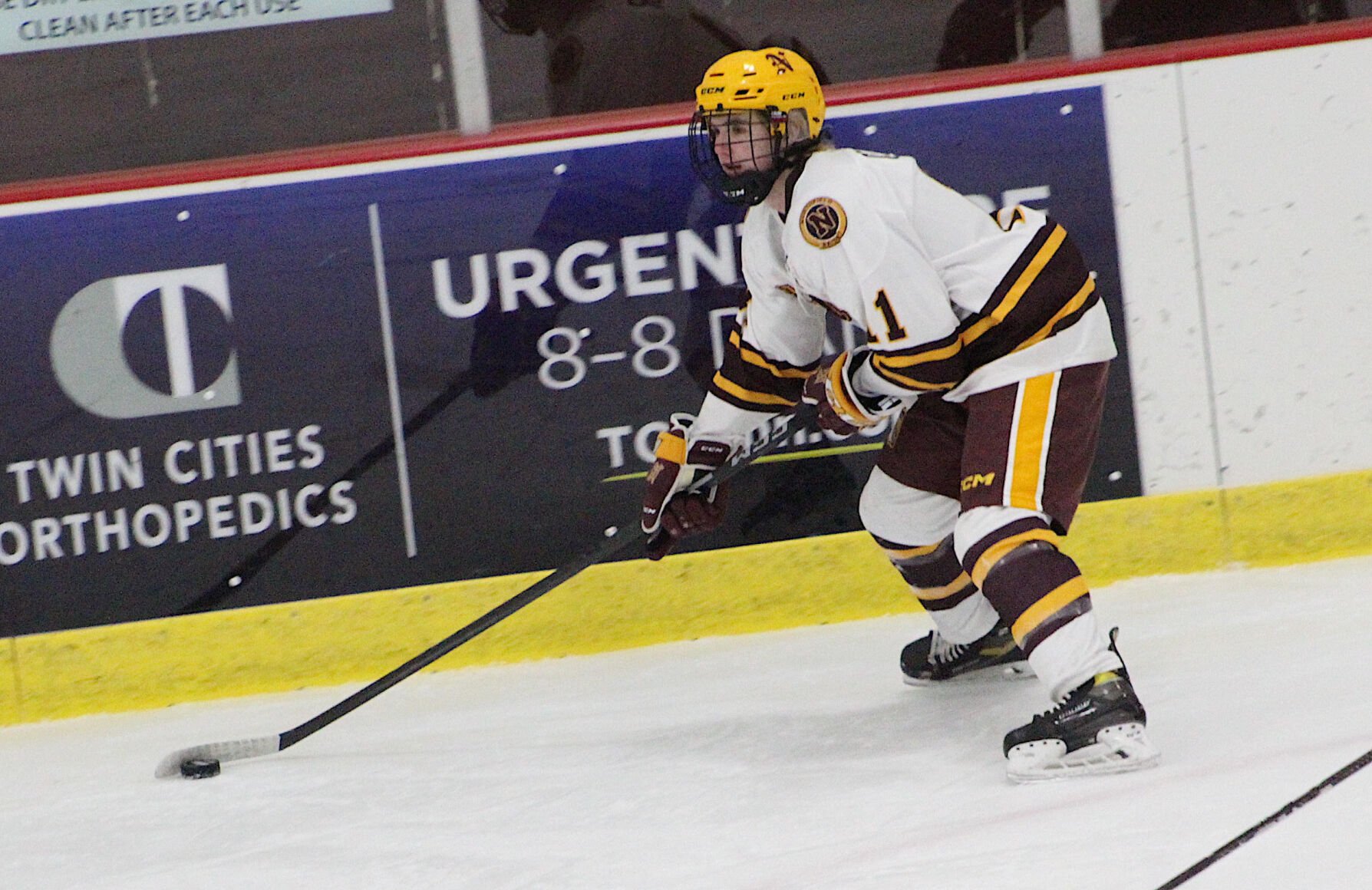 WINTER SPORTS GUIDE: Northfield Boys Hockey Sports southernminn
