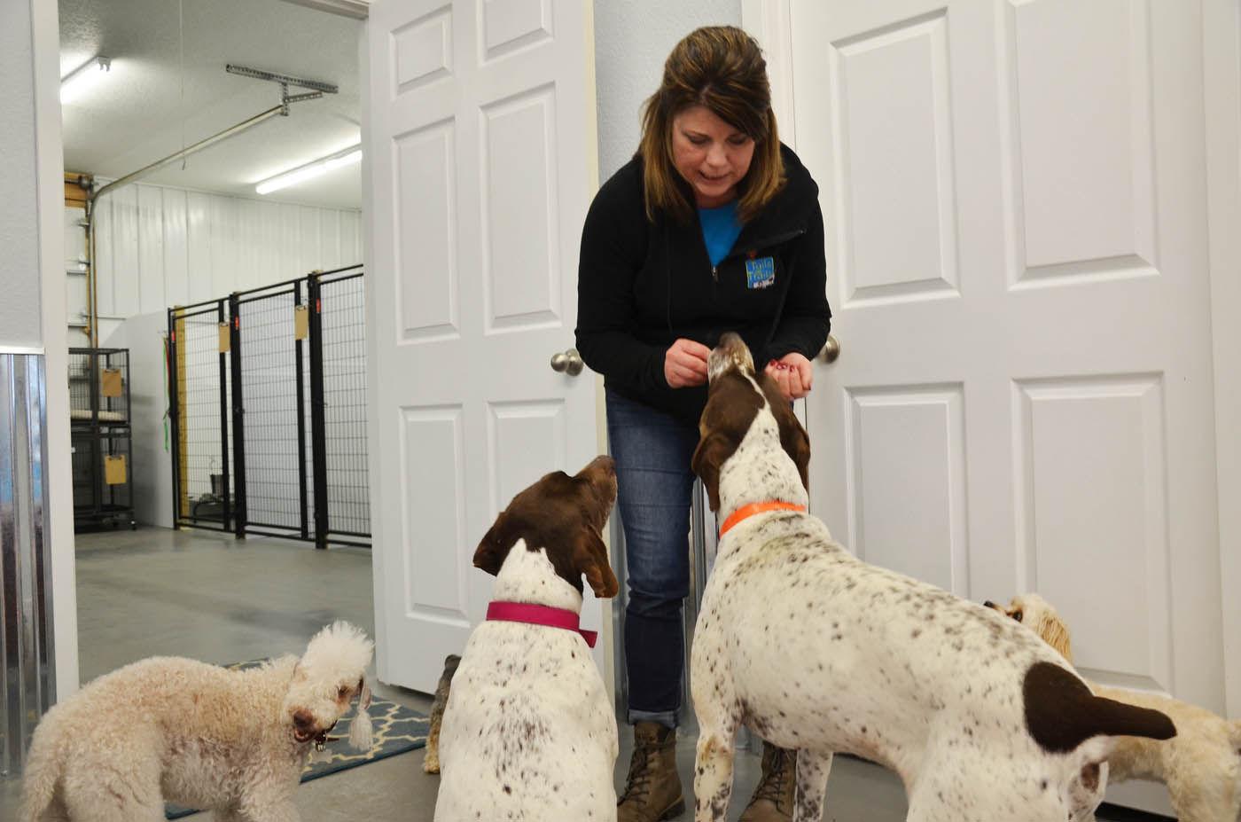 Owatonna pet lover opens cat, dog boarding business News