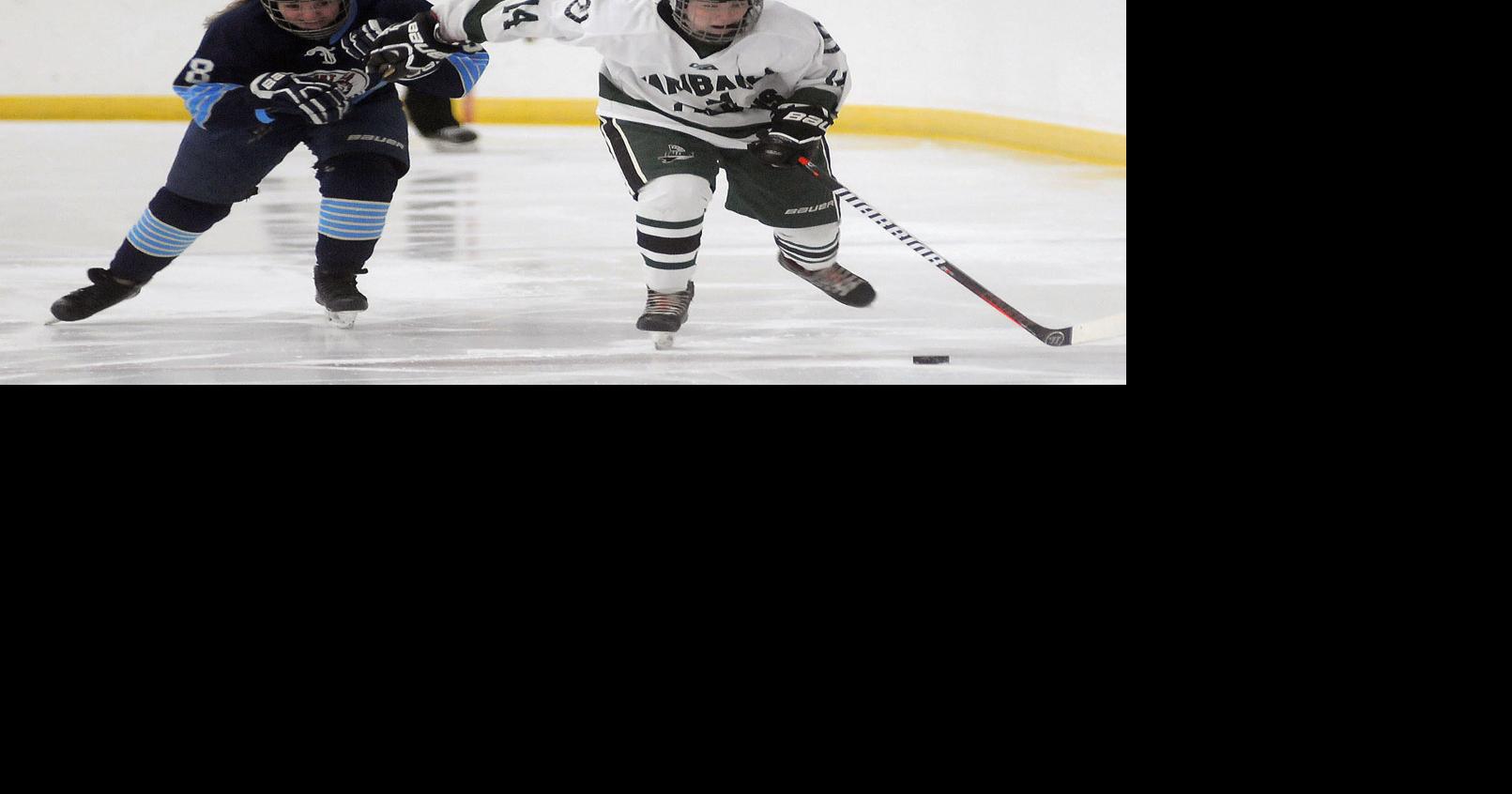 In JVonly season, Selly and Velander providing Faribault girls hockey