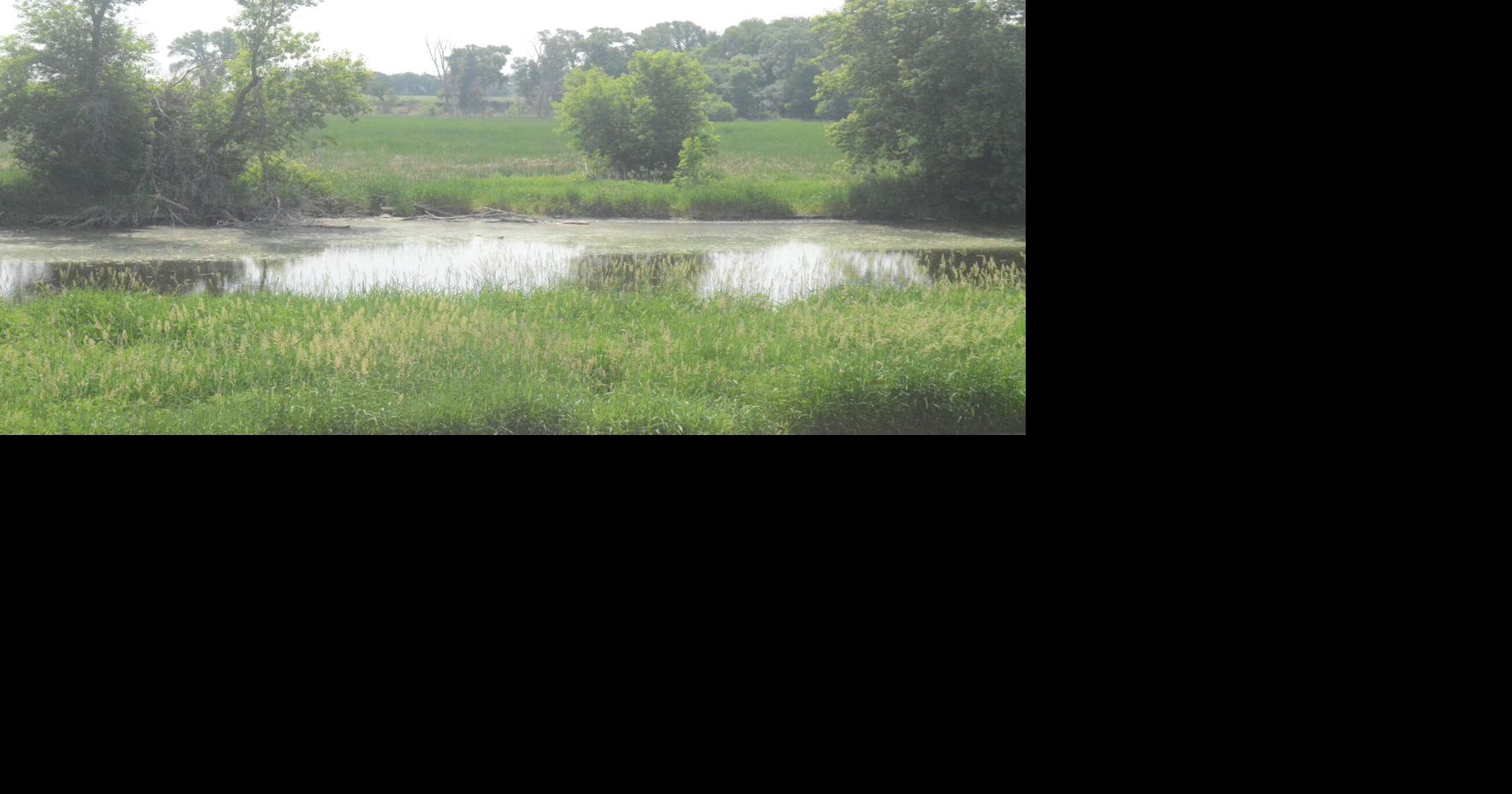 Waseca City Council takes on Gaiter Lake project as developer News