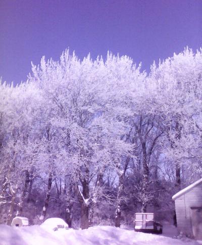 Waseca Snow Photo