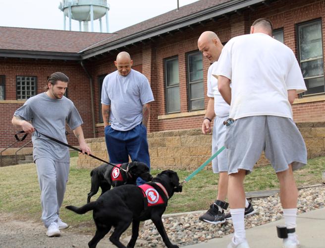 Very First Service Dog First service dogs reignite training program for inmates | News ...