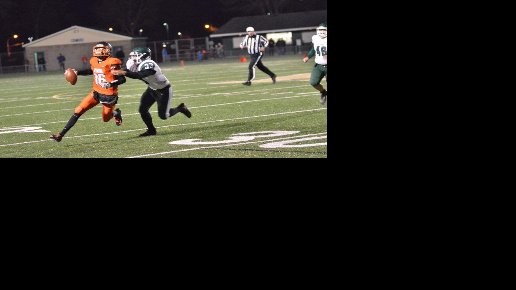 Falcons Dropped By Winona In Section Finals Sports