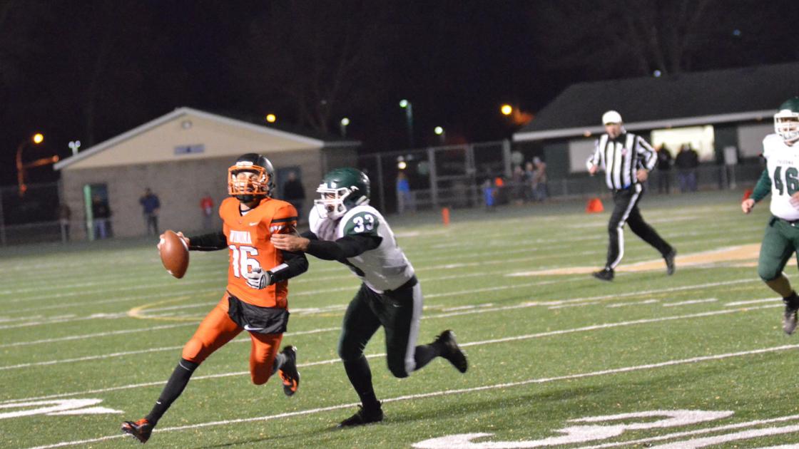 Falcons Dropped By Winona In Section Finals Sports