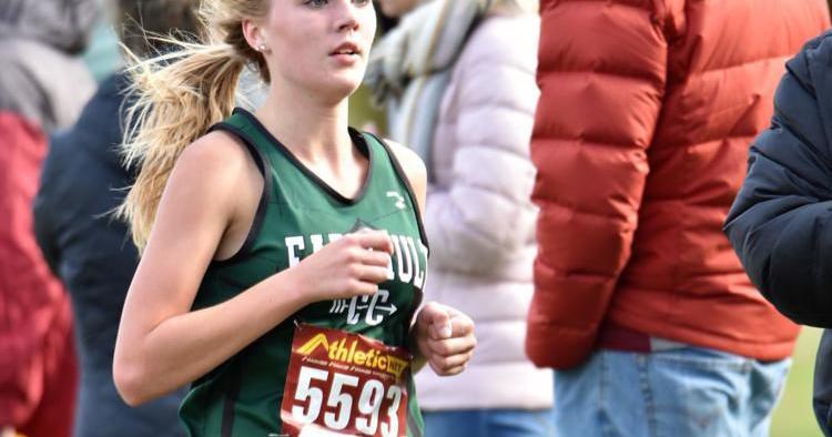 Local runners prep for Saturday's state cross country meet | Sports ...