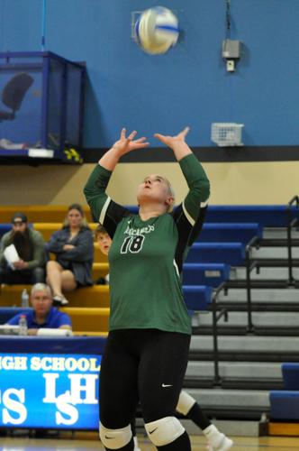 FALL SPORTS GUIDE: Waterville-Elysian-Morristown volleyball | Sports ...