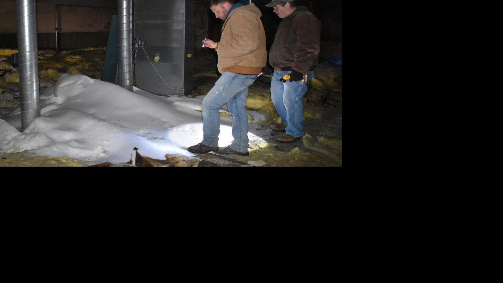 Faribault Daily News