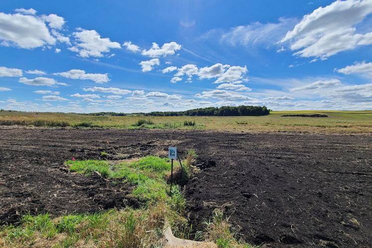 Rice County MN CREP enrollment restores wetland, preserves legacy