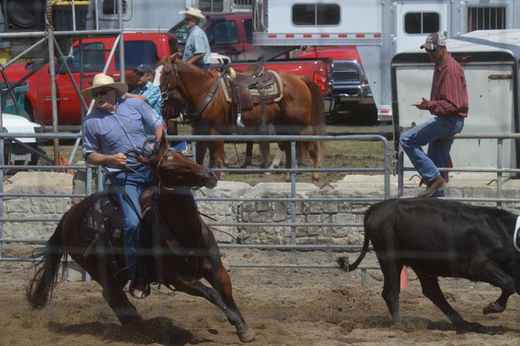 Wasatch County Rodeo Waseca County Free Fair 2018: Food and fun at the fairgrounds | News ...