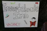 bee-lawn-3954-inverterbrate-inn-sign.jpg
