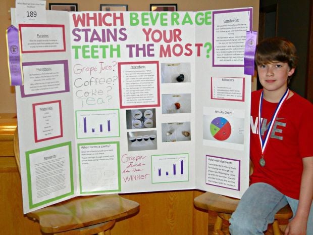 Science Fair Honors Local Southernminn Com