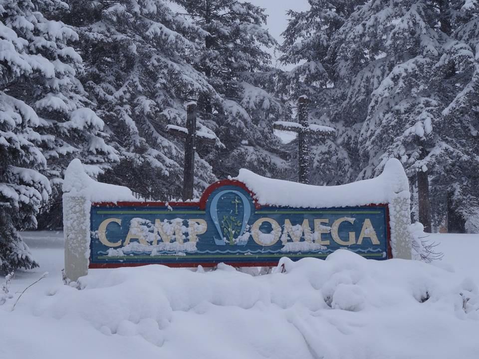 Camp Omega hosts Plunge in fundraising effort for new retreat