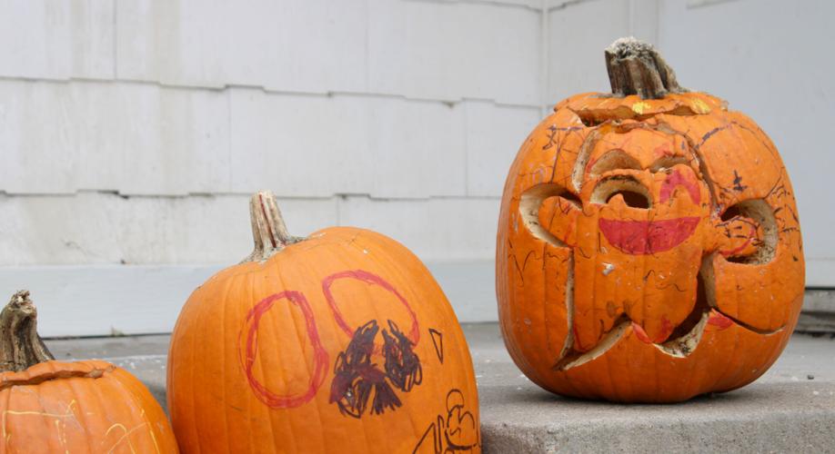 Rotting jacko'lanterns highlight importance of proper disposal News