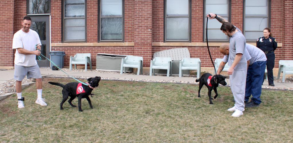 Very First Service Dog First service dogs reignite training program for inmates | News ...