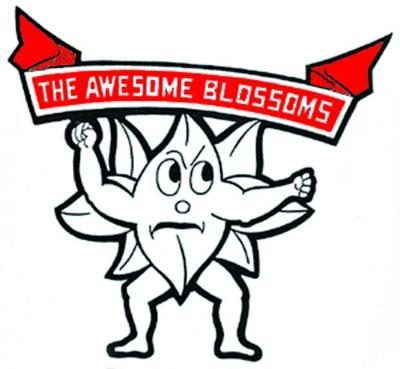 Image result for blooming prairie high school logo