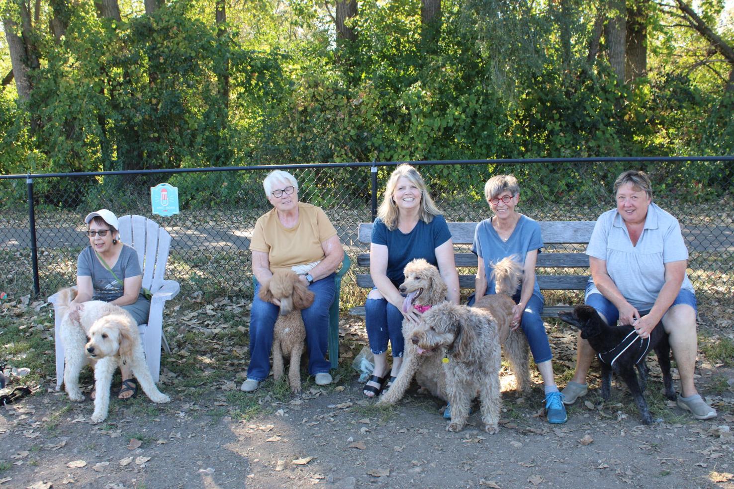 Poodles, Doodles group forms in Northfield News