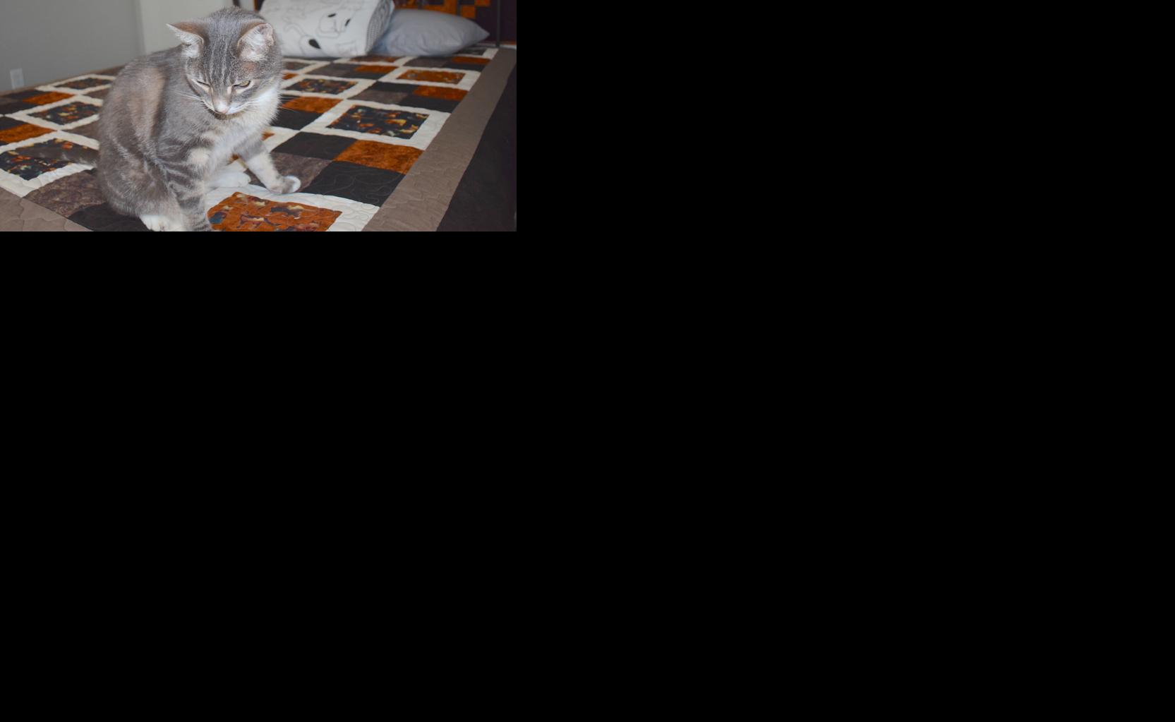 Airbnb offers unique options in, around Faribault News