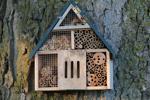 bee-lawn-3964-house-closeup-on-trunk.jpg