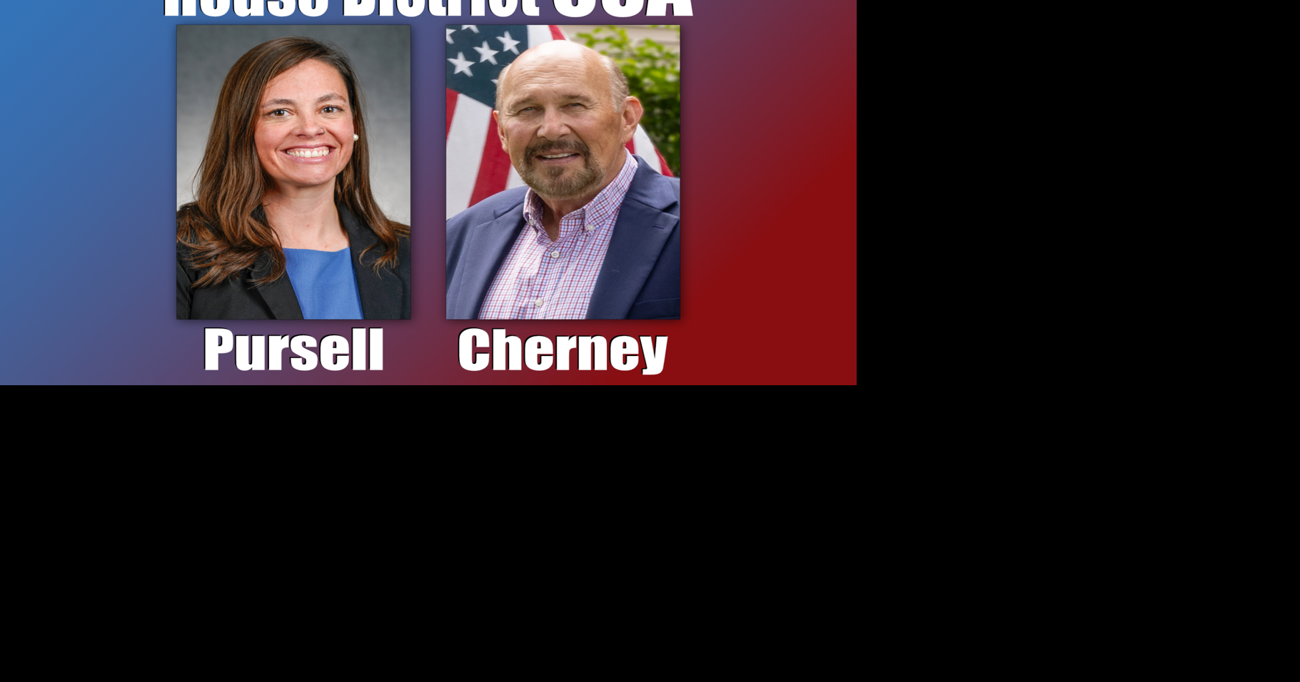 Pursell faces challenger who says Minnesota will become ‘another California' under DFL control