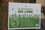 bee-lawn-3965-bee-lawn-sign-closeup.jpg