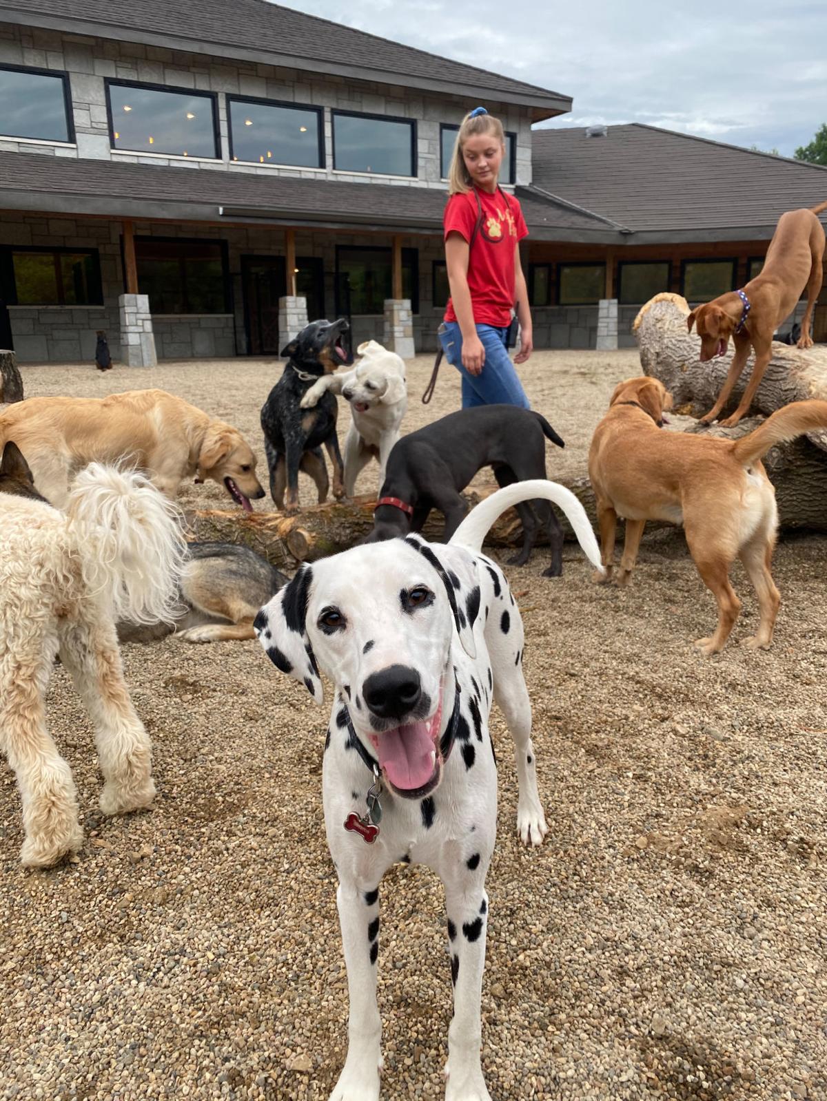 New facility, same approach for Muddy Paws Resort News