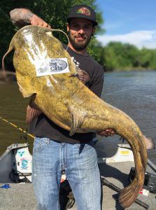 First ever flathead catfish. Fishing Mississippi in Minnesota. 36 not sure  the weight. Fun fight! : r/Fishing