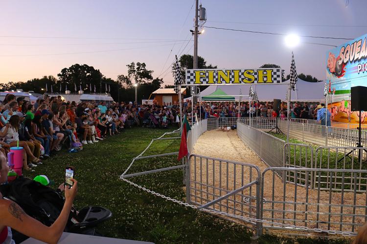 Pig Races return to the SCFF | News | southernminn.com