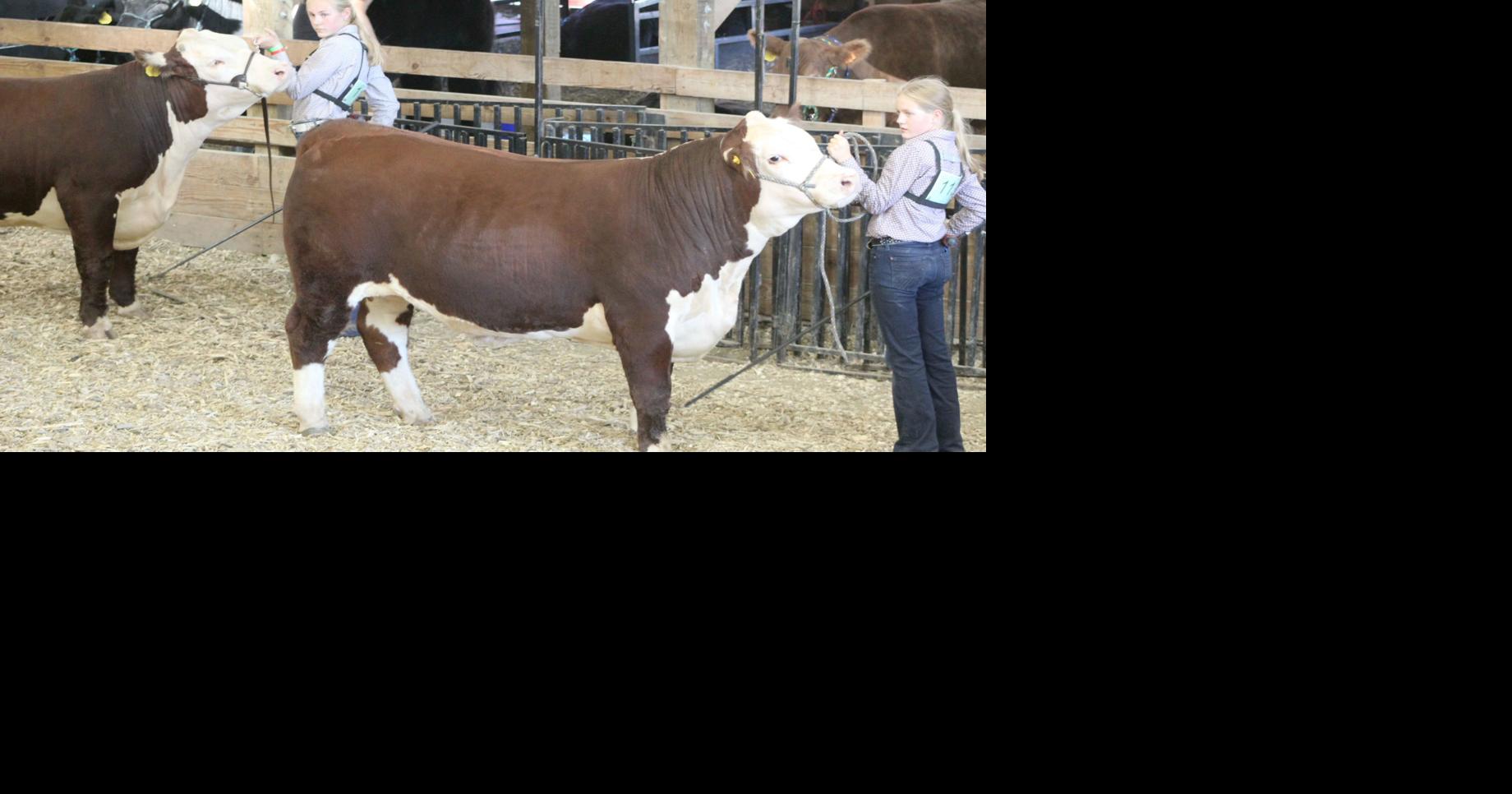 2021 Goodhue County Fair results News