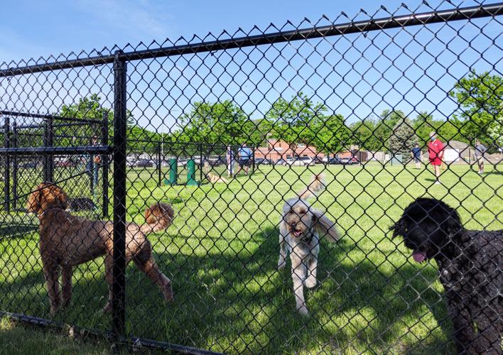 After year of work and advocacy, new St. Peter dog park opens News