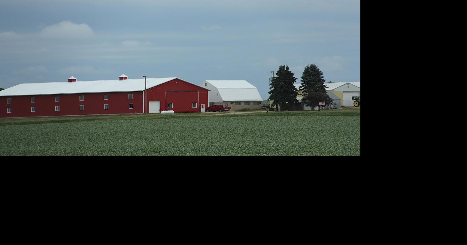 MN PRAIRIE ROOTS: Barns, an enduring symbol of farming
