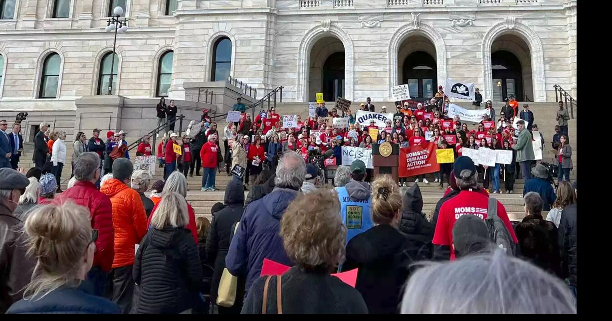 Would red flag gun laws make Minnesota safer? | State | southernminn.com