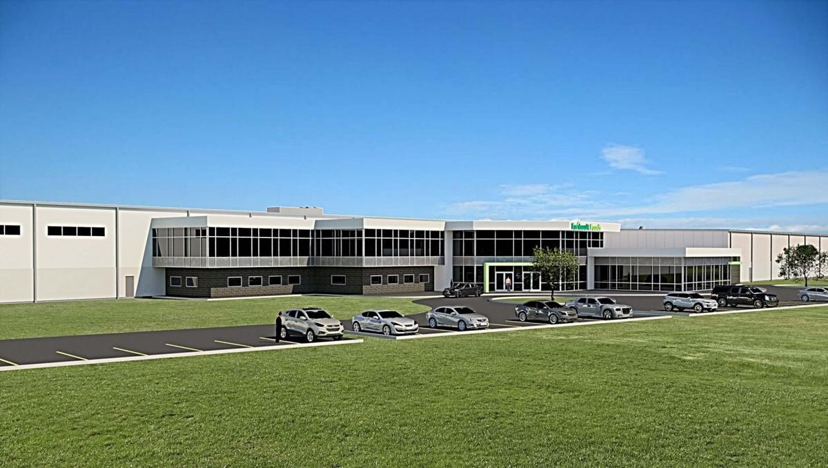 Faribault foods inc