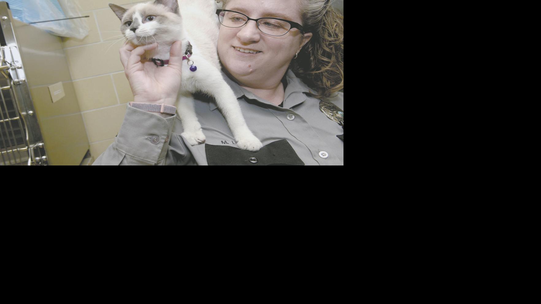 St Paul Animal Control Sees Opportunity For Collaboration
