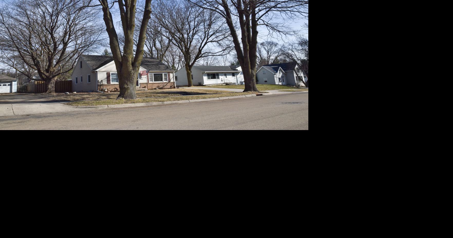 Boulevard trees ordered before April 1 to be planted soon | News ...