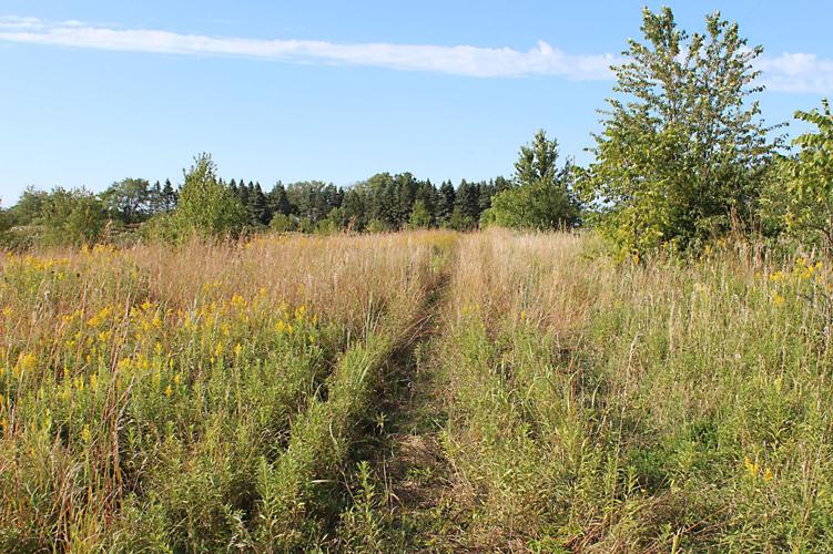 Woody's Reserve Owatonna has a wild side News