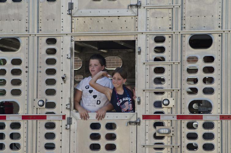 GALLERY Celebrating the birth of the nation in Wanamingo News