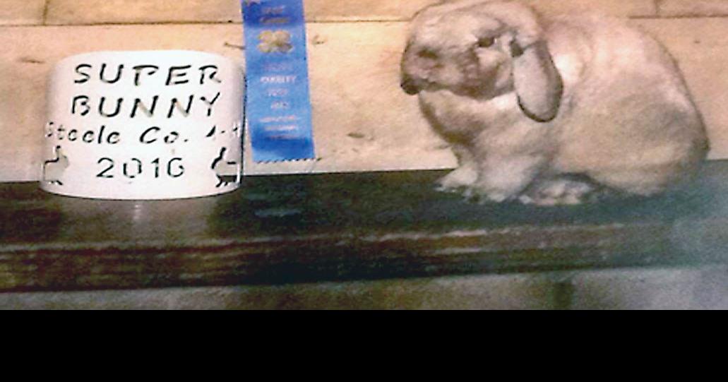 Prizewinning rabbit goes missing from Steele County Free Fair Local