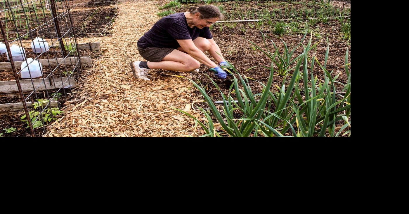 Mankato community garden expands to community farm, gathering place