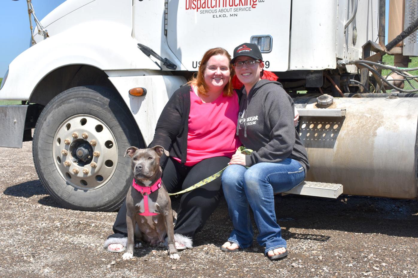 can truckers take their dogs on the truck