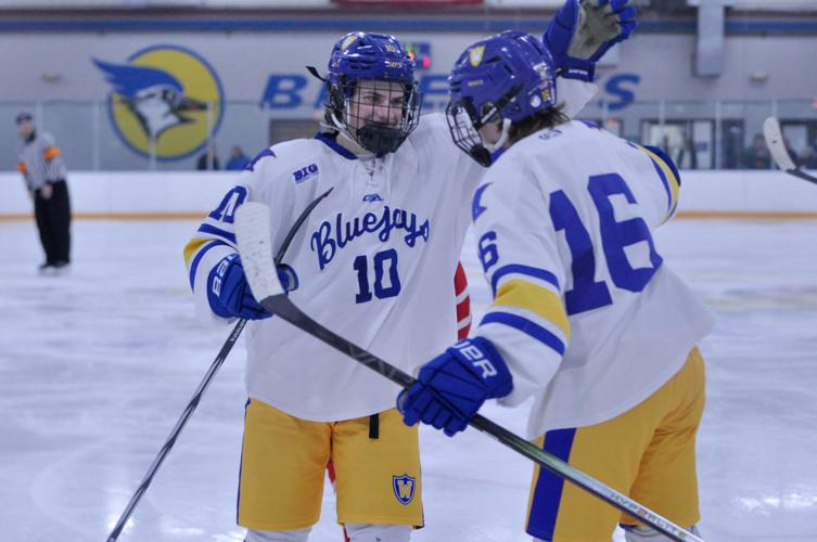 Bluejays thrash Austin to advance in Section 1A playoffs Sports