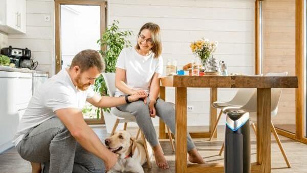When Wildfires Strike, Use These Tips to Breathe Better at Home