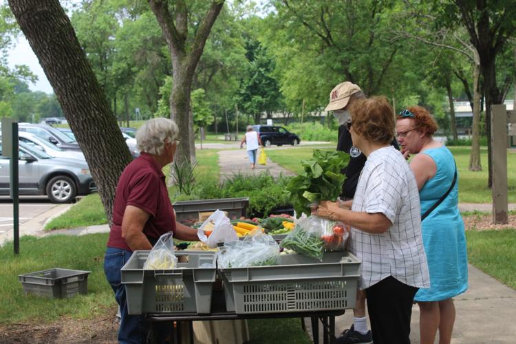 Flowers, fruits and vegetables abundant at Northfield's summer farmer's