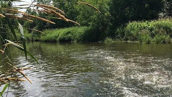 DNR sets limit on diverting water from central Minnesota trout stream